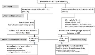 Ultrasound assessment of the respiratory system using diaphragm motion-volume indices